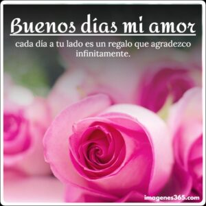 35+ Imágenes de Buenos Días Mi Amorcito 2024 [Descargar Ahora ...