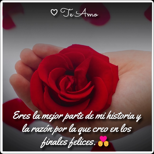 una persona con una rosa roja en la mano con Textos de amor para novia.