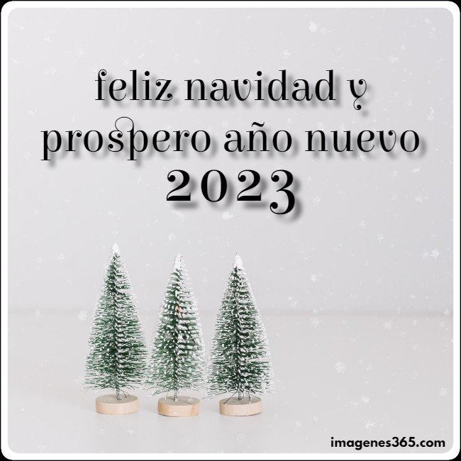 feliz navidad y prospero año nuevo 2023