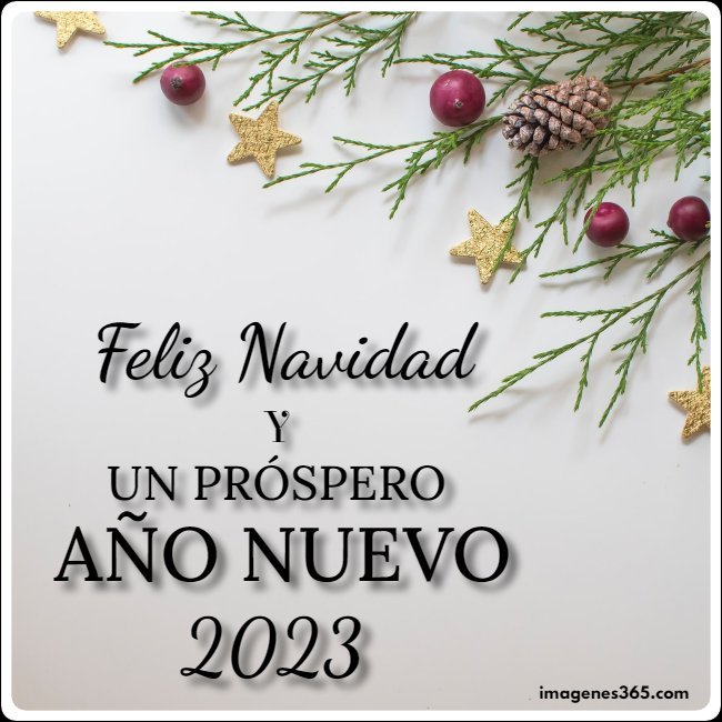feliz navidad y un próspero año nuevo 2023