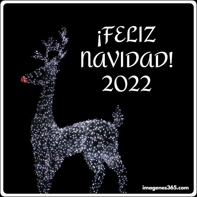 imagen de feliz navidad 2022
