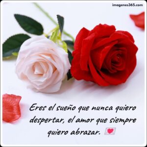 +30 Frases y Imágenes de Amor Para mi Novia 2024 [Debe Leer] - Imagenes 365